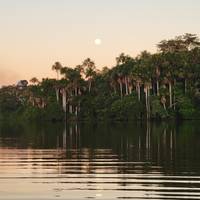 Tambopata - het Amazonewoud - 3 dagen: foto van de reiziger #1