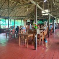 Tambopata - het Amazonewoud - 3 dagen: foto van de reiziger #2