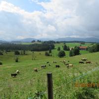 Bayern Tour: König Ludwigs Weg Reise-Foto #2