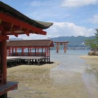 Japan Discovery - 15 Days traveler photo #1