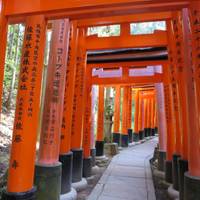 Japan Discovery - 15 Days traveler photo #3