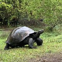 Galapagos Island Hopping Adventure traveler photo #1