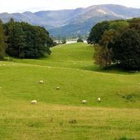 Hoogtepunten van Groot-Brittannië: foto van de reiziger #2