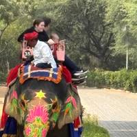 Goldenes Dreieck : Rundreise mit Ranthambore Tiger Safari Reise-Foto #2
