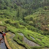 Bali 9 Day/ 8 Night Group Tour  | ULTIMATE traveler photo #3