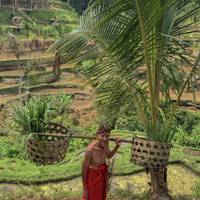 Bali 9 Day/ 8 Night Group Tour  | ULTIMATE traveler photo #2