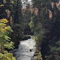 Secrets Of The West Coast | Vancouver Island Active Tour traveler photo #1