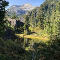 Secrets Of The West Coast | Vancouver Island Active Tour traveler photo #2