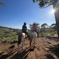 Rafting, Wandern und Entdeckung Costa Ricas Reise-Foto #2