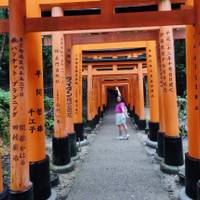 Japan klassiek – One Life Adventures – 10 dagen: foto van de reiziger #1