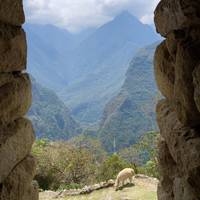 Prueba a Perú - viaje privado: foto del viajero #1