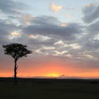 Safari de gama media y vacaciones en la playa de 7 días en Kenia: foto del viajero #2