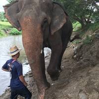 Una aventura de 5 días en Tuk Tuk por la bella Chiang Mai (se requiere la categoría A de IDP): foto del viajero #1