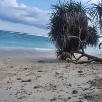 Photo de voyageur 10 jours - Expérience le meilleur de Bali, des îles Gilis et de Nusa Penida #3