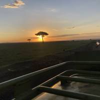 Safari por la naturaleza en Kenia: foto del viajero #2