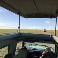 Safari por la naturaleza en Kenia: foto del viajero #3