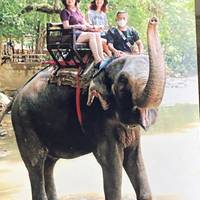 Photo de voyageur Beauté infinie de la Thaïlande 10 jours #1