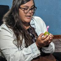 Ontmoet de Maya