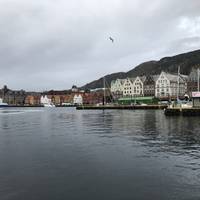 Norwegian Fjords Escape with Northern Lights (from Oslo to Tromso) traveler photo #2