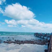 Monkey Mia Dolphins and West Coast (2023/2024, 5 Days) traveler photo #3