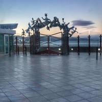 Northern Spotlight traveler photo #3