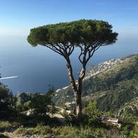 Local Living Italy—Amalfi Coast traveler photo #1