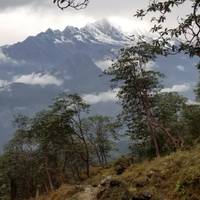 Mera Gipfeltour Reise-Foto #2