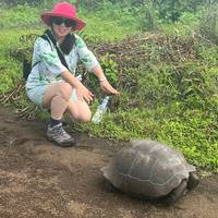 De isla en isla por los Galápagos en Santa Cruz e Isabela - 10 días: foto del viajero #3