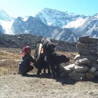 Kanchenjunga South Base Camp Circuit Trek - geführte Trekkingreise - 17 Tage Reise-Foto #3