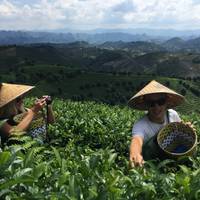 Die Essenz von Guilin Reise-Foto #1