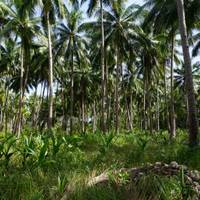 Photo de voyageur West Philippines Classic 10 jours - One Life Adventures #1