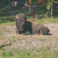 Alaska, Wildlifee und Wildnis (15 Destinationen) Reise-Foto #1