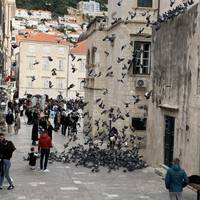 Adriatic Pearls traveler photo #2