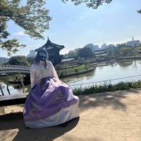 Photo de voyageur 12 jours d