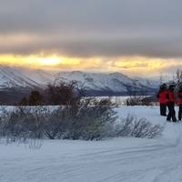 Best Value Aurora Viewing | Wildlife & Hot Springs traveler photo #3