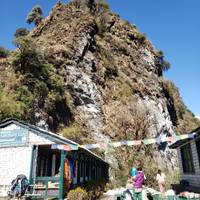 Ghorepani Poon Hill – de korte trek: foto van de reiziger #2