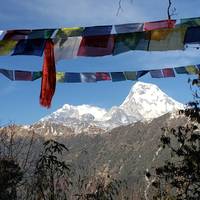 Ghorepani Poon Hill – de korte trek: foto van de reiziger #3