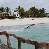 Photo de voyageur Découverte des Galápagos #3