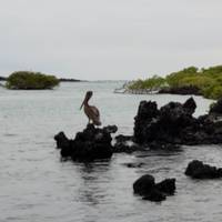 Photo de voyageur Découverte des Galápagos #2