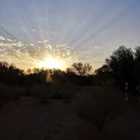 Red Centre & Uluru Explorer (including Watarrka National Park) traveler photo #2