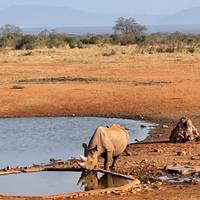 Photo de voyageur Safari de 3 jours à Amboseli et dans le parc national Tsavo West depuis Nairobi #2
