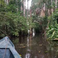 3 days - Tambopata Amazon Jungle traveler photo #1