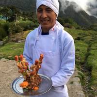 De Inca Trail – in kleine groep – met Vistadome-trein – 4 dagen: foto van de reiziger #1