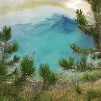 Photo de voyageur Parcs nationaux de Grand Teton et de Yellowstone - 2 jours / 1 nuit - Aventure pour la faune et la flore #3