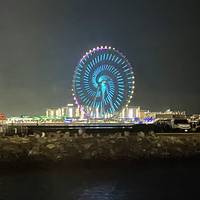 Explore Dubai & Abu Dhabi 4 Nights 5 Days traveler photo #3