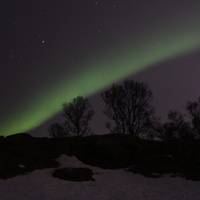 Onder het noorderlicht - Arctische dromen in Noorwegen: foto van de reiziger #1