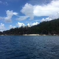 Photo de voyageur Aventure de Brisbane à Cairns (including Plage de 75 Mile) #1