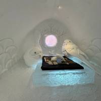 Photo de voyageur Circuit express en Grande Laponie, Finlande, Suède et Norvège avec activités #3