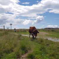 En bici de los Alpes al Adriático - Bicicleta de montaña Trans Eslovenia: foto del viajero #1