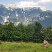 En bici de los Alpes al Adriático - Bicicleta de montaña Trans Eslovenia: foto del viajero #2